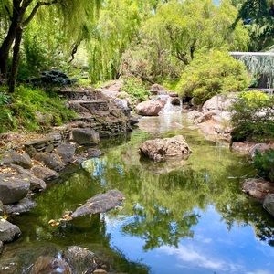 Meet your Posher, Roxlyn